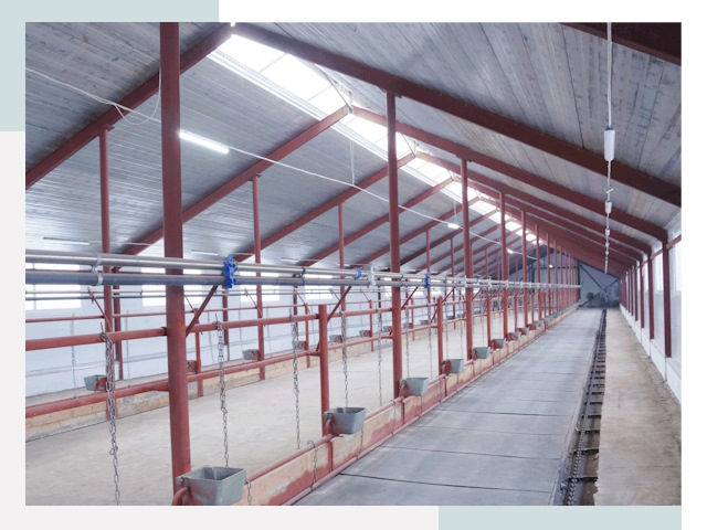 Строительство коровников в Элисте от 621 руб.