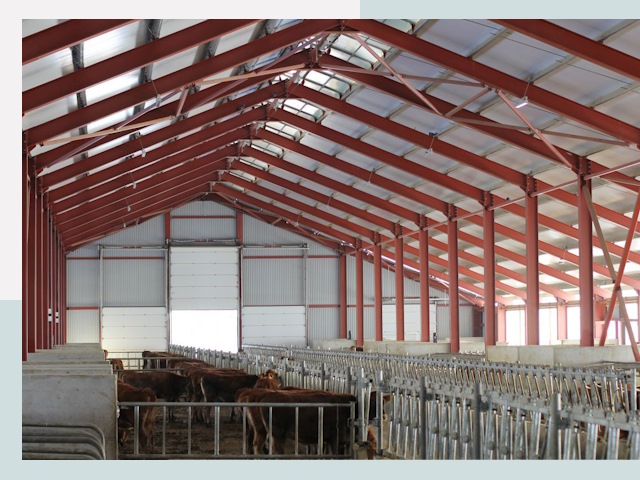 Строительство коровников в Элисте